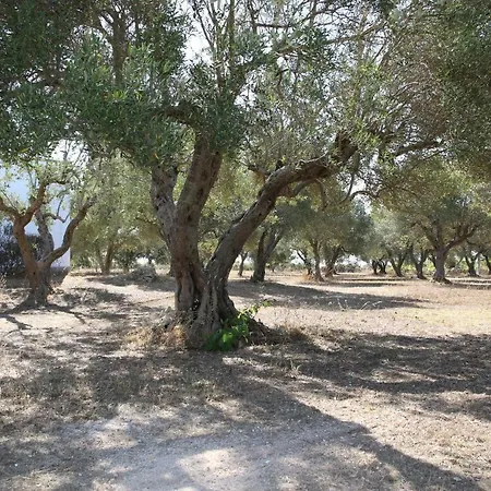 In Salento Da Renzo Villa