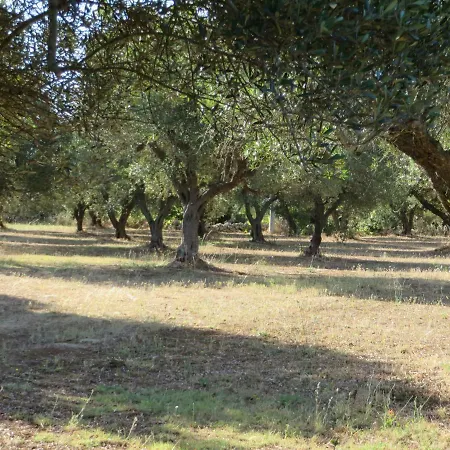 In Salento Da Renzo Villa *